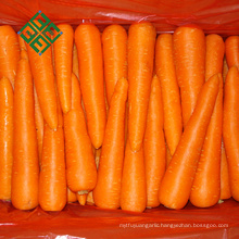 80-150G fresh carrot